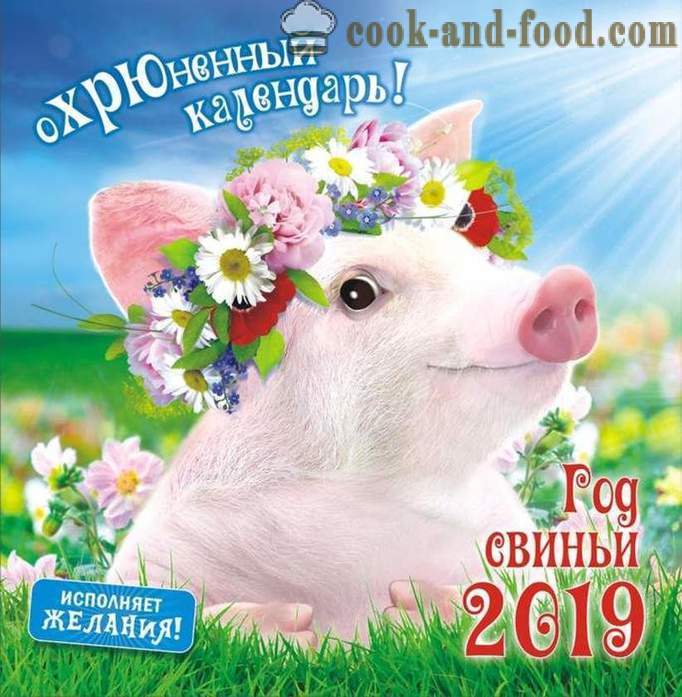 2019 kalendorius nuo kiaulių su nuotraukomis metai - Atsisiųskite nemokamą Kalėdų kalendorių su kiaulių ir šernų