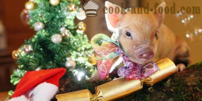 Paprasta receptai Naujieji metai 2019- ką virėjas Naujųjų Metų 2019 metais kiaulių (šernams)