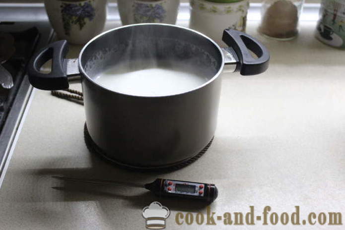 Naminis jogurtas iš pieno rūgti - kaip padaryti, kad jogurtas namuose, žingsnis po žingsnio receptas nuotraukomis