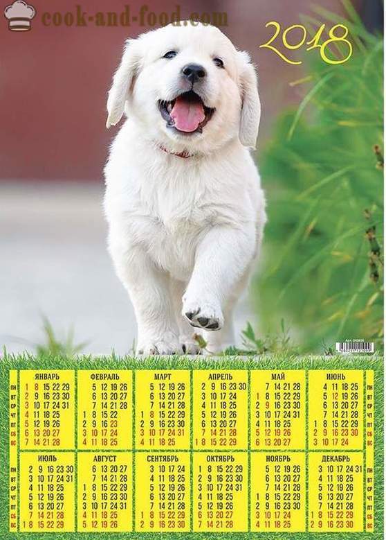 Kalendorius 2018 - Metai šuo ant rytinės kalendorius: atsisiųsti nemokamai Kalėdų kalendorių su šunimis ir šuniukais.