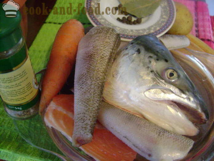 Ausų iš žuvų ir kitų įvairių žuvų galvos - kaip virėjas sriuba žuvų galvų, žingsnis po žingsnio receptas nuotraukomis