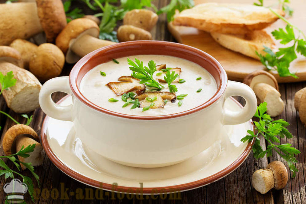 Baltų grybų sriuba: du receptus gardžių patiekalų