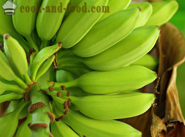 Bananų: Afrikos ir Azijos desertas sriuba - video receptai namuose