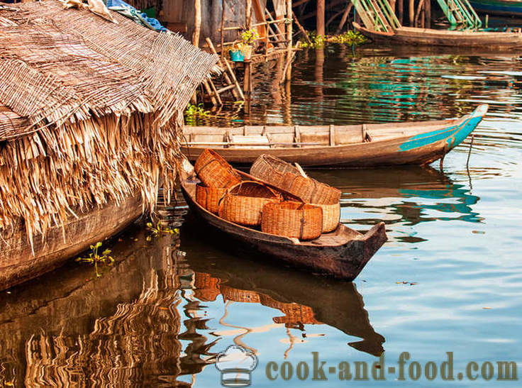 Kambodža: čia valgyti viską - Video receptai namuose